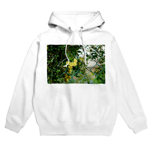 FLOWER-きいろ- Hoodie