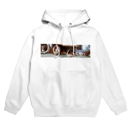 すもファミリー Hoodie