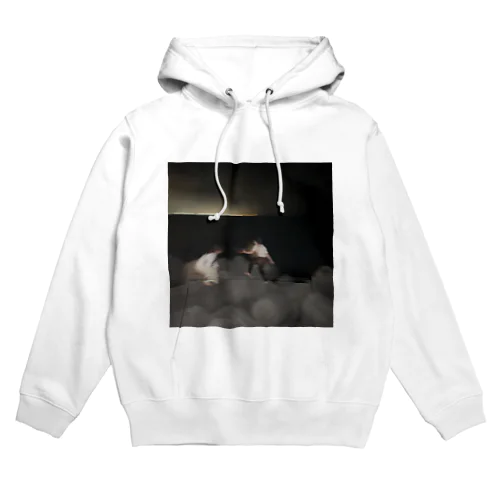 地球滅亡の日🌏 Hoodie