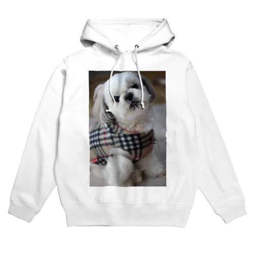 愛犬グッズ(シーズー) Hoodie