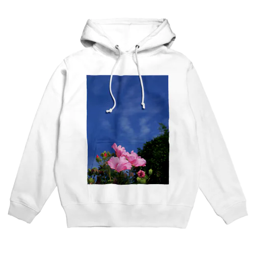 芙蓉 DATA_P_133　Confederate Rose ハスの花の古名 Hoodie