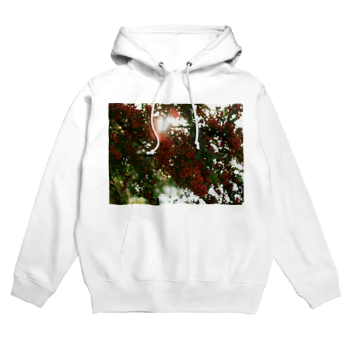 ピラカンサス　DATA_P_136 Hoodie