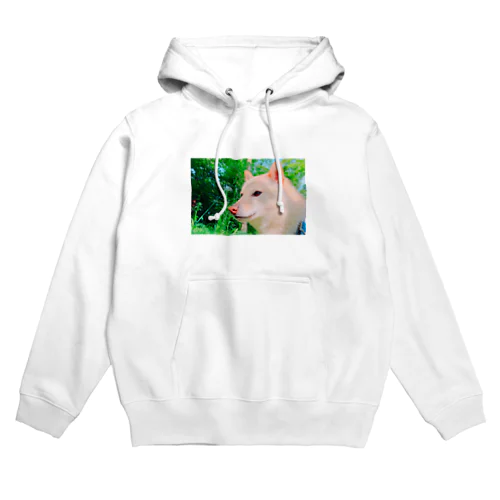 実写たけゆき　(この顔で許されてきた) Hoodie