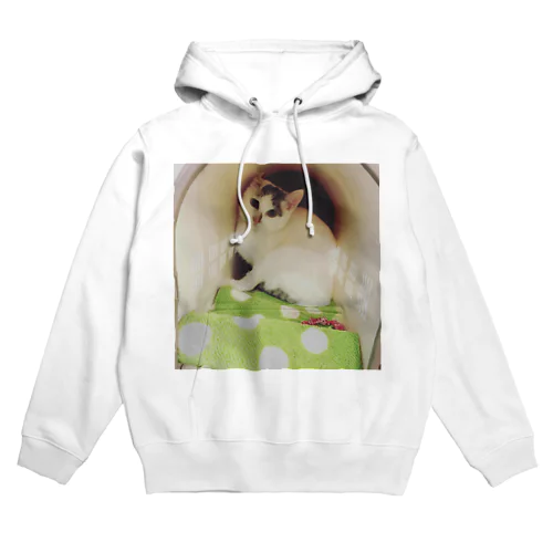 新しい家族☆おもち君 Hoodie