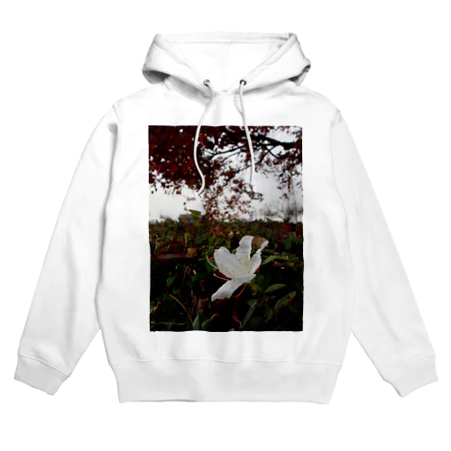 狂い咲くツツジ　DATA_P_144 Hoodie