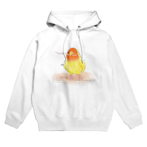 コザクラインコ　レイ【まめるりはことり】 Hoodie