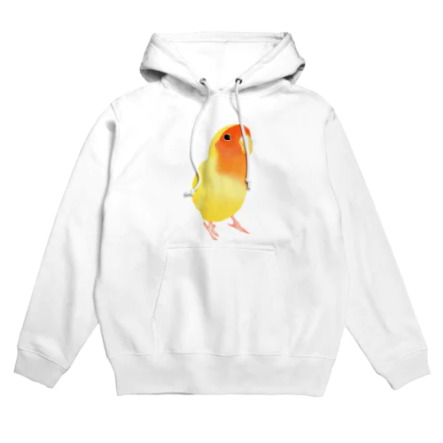 コザクラインコ　おすましルチノー【まめるりはことり】 Hoodie