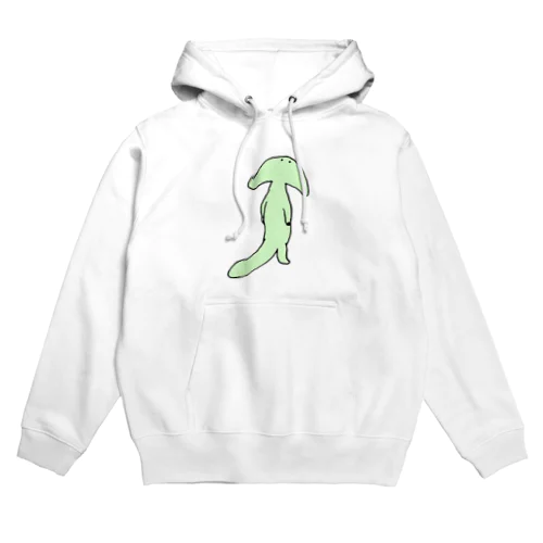 ディプロカウルス Hoodie