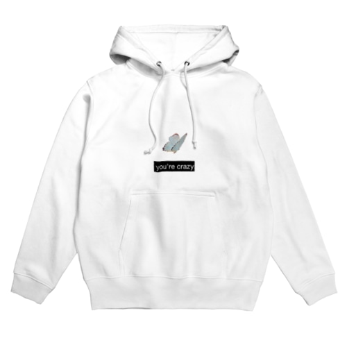 you're crazy Hoodie