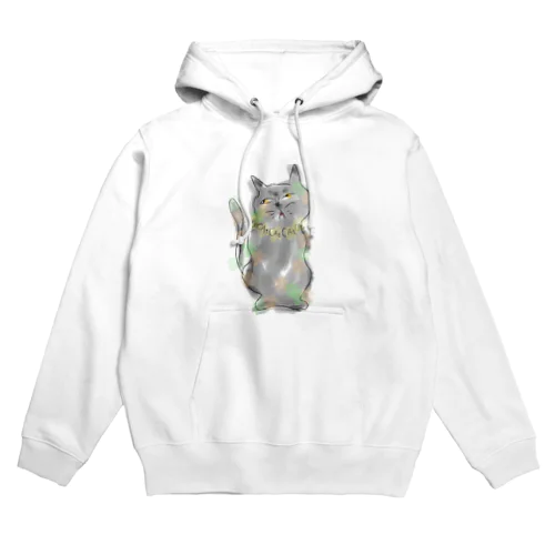 cat※necklace Hoodie