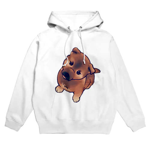 maro2 Hoodie