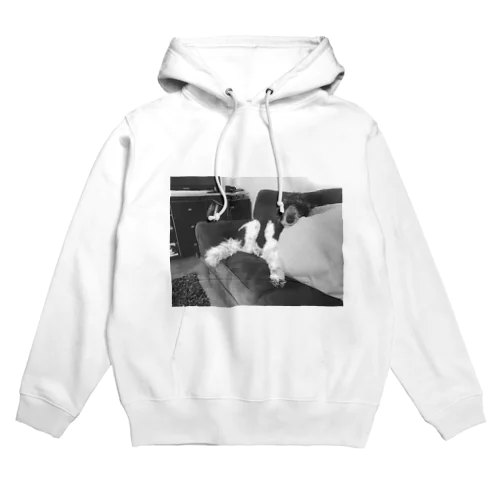 プードルのCCJ  Hoodie