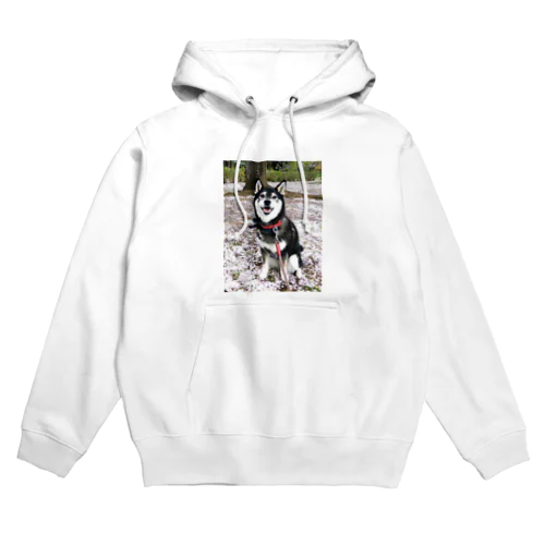 桜のじゅうたんと黒柴しじみ Hoodie