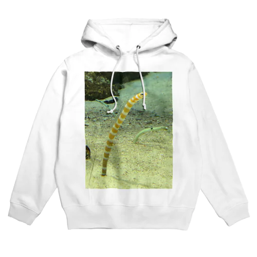 チンアナゴ Hoodie