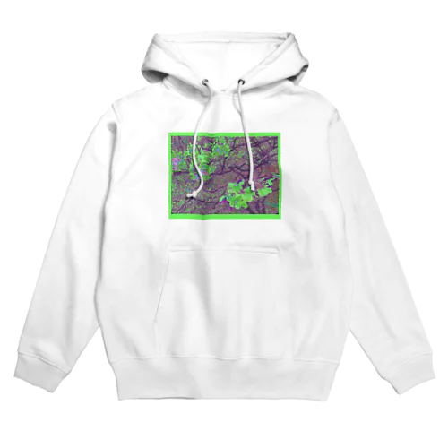 Reincarnation  Hoodie