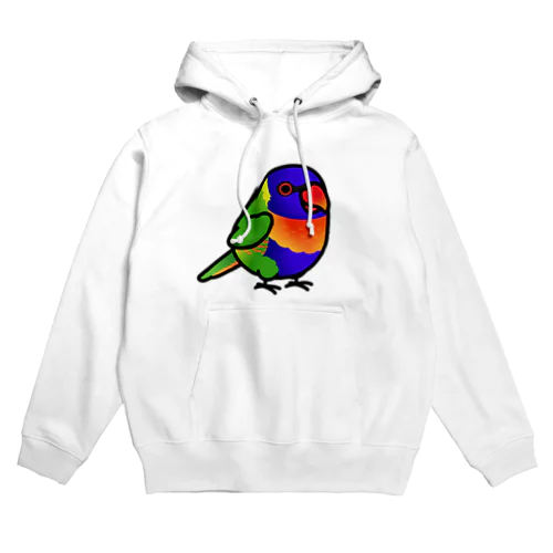 Chubby Bird ゴシキセイガイインコ　ロリキート Hoodie