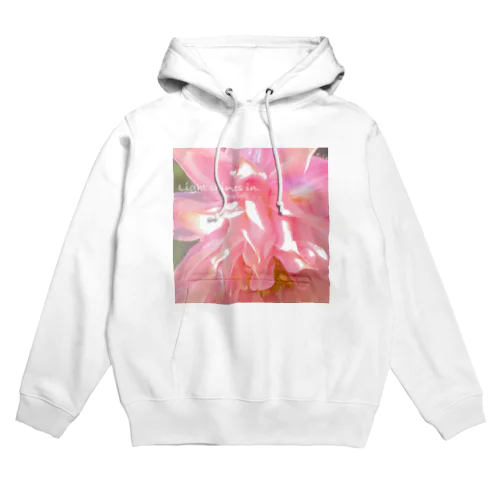 Light shines in. Hoodie