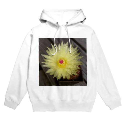 サボテンの花 Hoodie