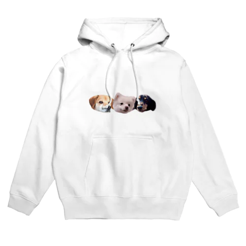 ころちょこぽんた Hoodie