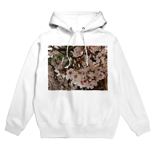 桜　サクラ　cherry blossom DATA_P_152　春　spring Hoodie