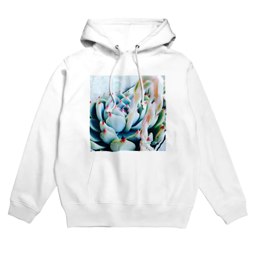 モモスケ Hoodie