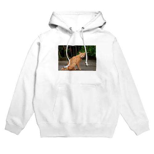 noraneko2 Hoodie