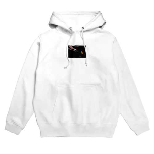 人気超強力レーザーポインター 専門通販店 Hoodie