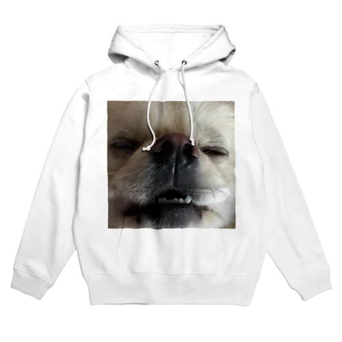 愛犬ラフくん Hoodie