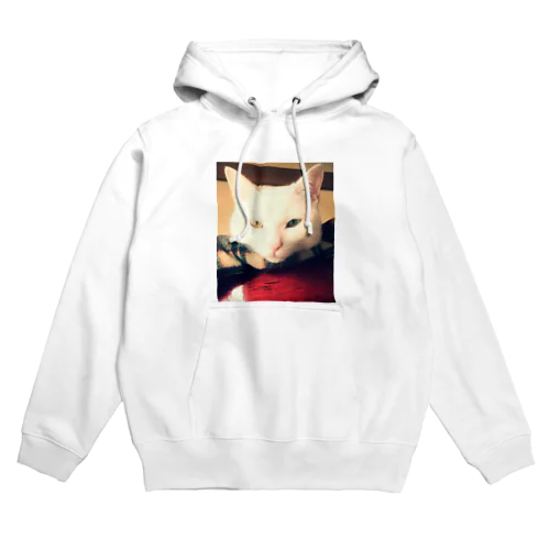 白猫ぎんくん Hoodie