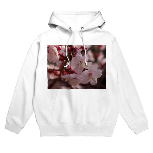 梅　ウメ　Japanese　apricot DATA_P_155　春　spring Hoodie