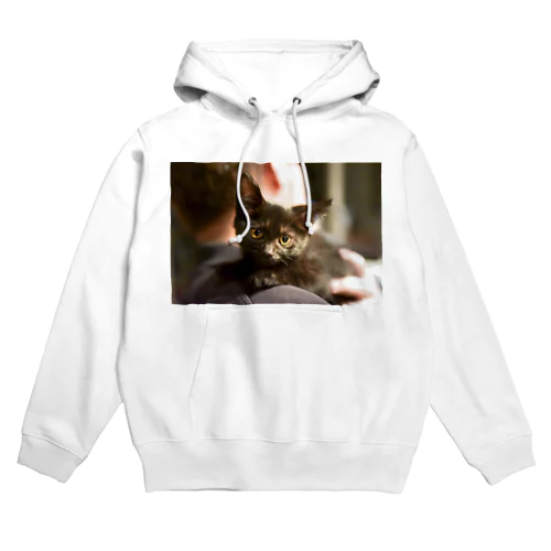 うちのねこ７ Hoodie