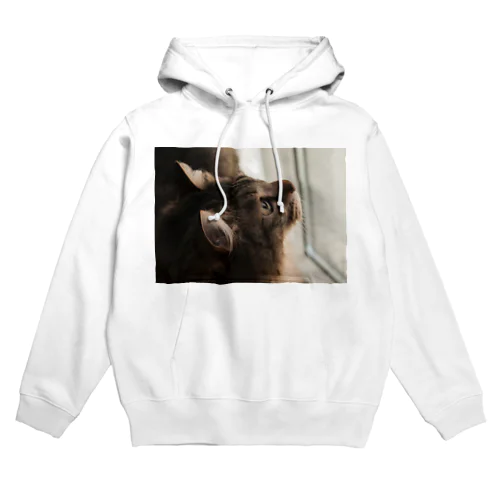 うちのねこ６ Hoodie