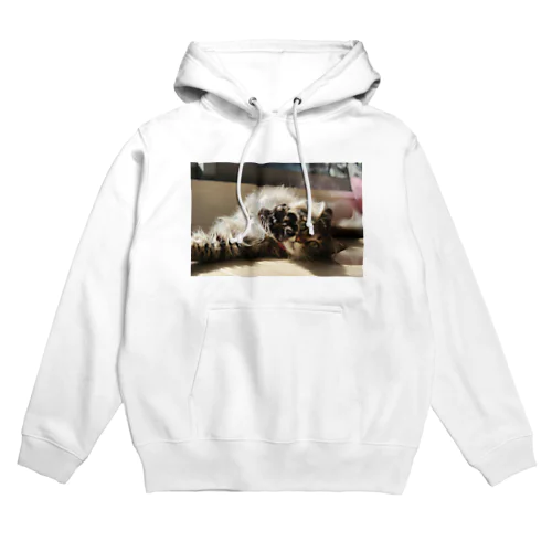 うちのねこ９ Hoodie