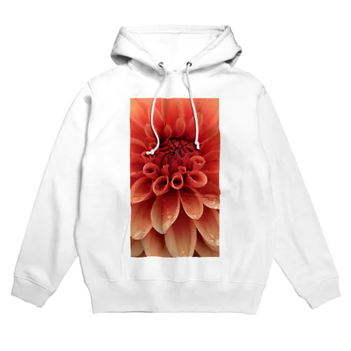 天竺牡丹 Hoodie