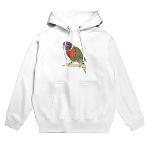 色合いが綺麗なゴシキセイガイインコちゃん【まめるりはことり】 Hoodie