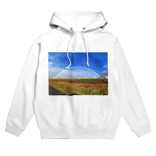 double rainbow Hoodie