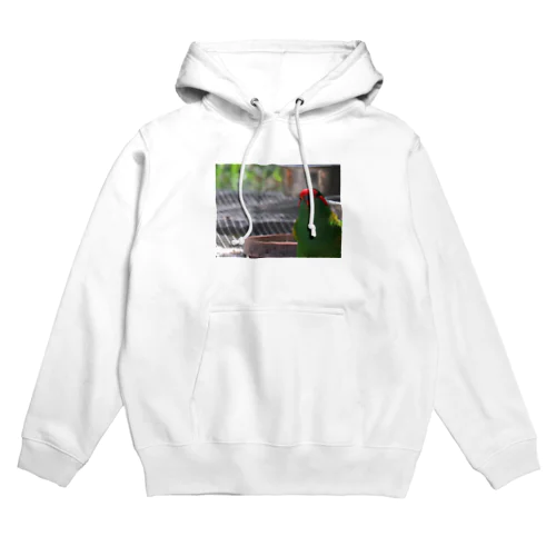 のぞき見バード Hoodie