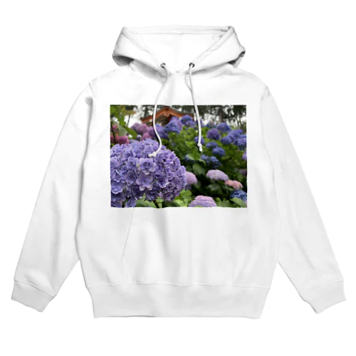 紫陽花の季節 Hoodie