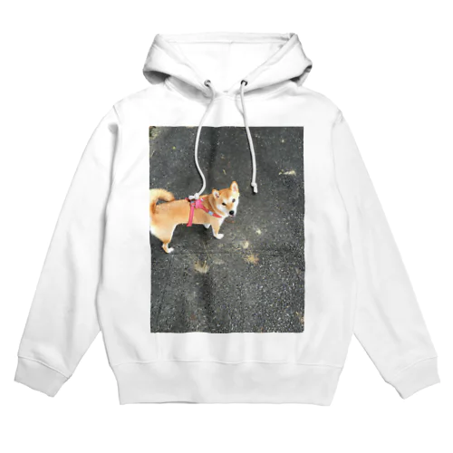 華柴シリーズ Hoodie