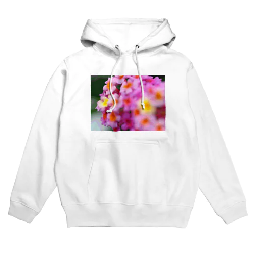 ぽすたらいずランタナ２ Hoodie