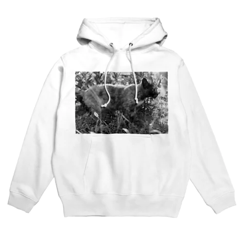 Walkthrough  Hoodie