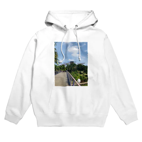 Gardens by the Bay in Singapore Hoodie