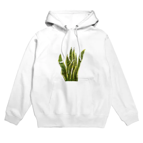 サンスベリア Hoodie