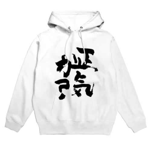 正気か？ Hoodie