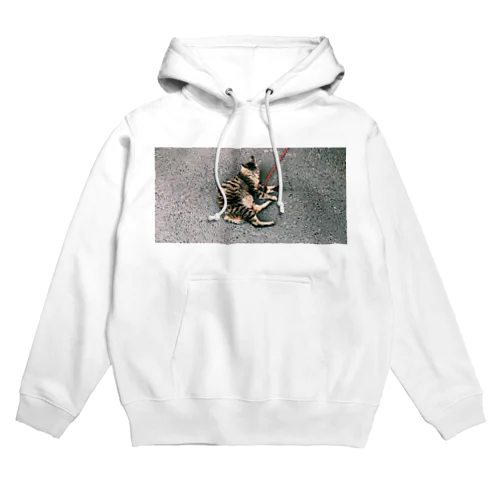 猫　ねこ　ネコ　 Hoodie