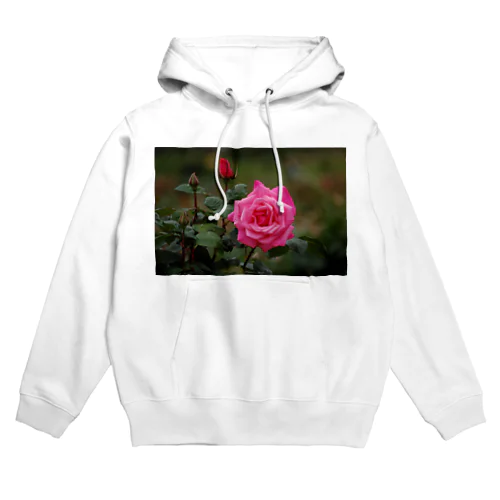 鹿児島の薔薇 Hoodie