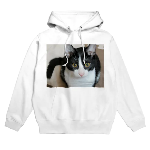 我が家のサン Hoodie