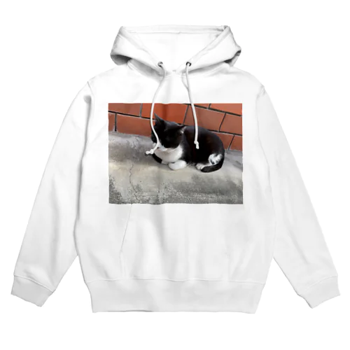 街歩いてたらいたレンガ猫 Hoodie