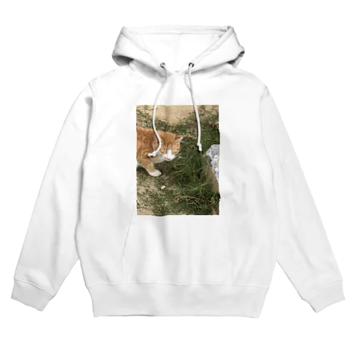 沖縄の野良猫 Hoodie