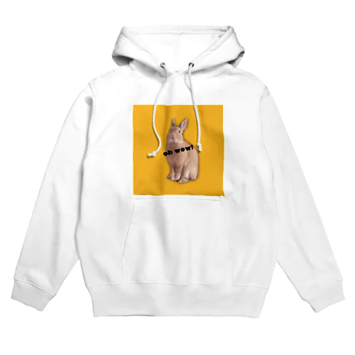 RAVI the rabbit Hoodie